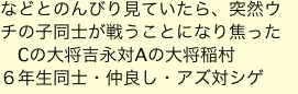 などとのんびり見ていたら、突然ウチの子同士が戦うことになり焦った